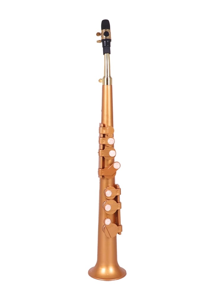 Musical Instrument Reed - 가방 및 리드가 있는 색소폰 포켓