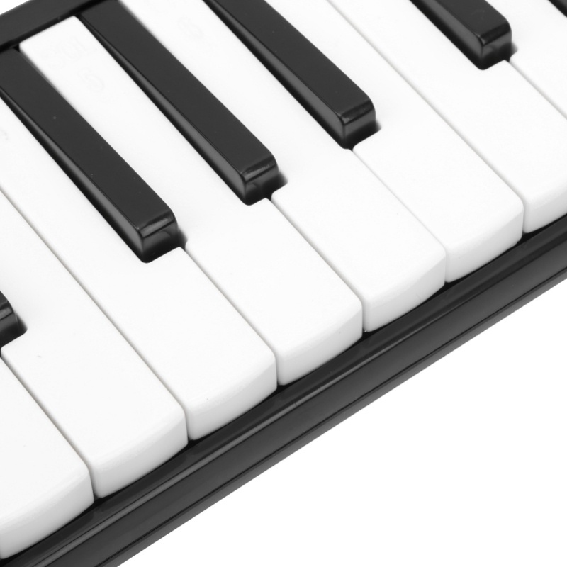 IRIN 멜로디카 32키 관악기 초보자 연습용 가방 포 - Musical Instrument Melodica 리뷰 및 가격