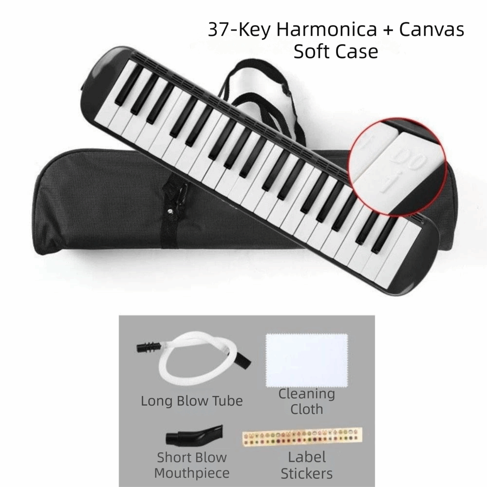 37키 멜로디카 악기 소프트 랩핑 휴대용 블로우파이프  - Musical Instrument Melodica 리뷰 및 가격