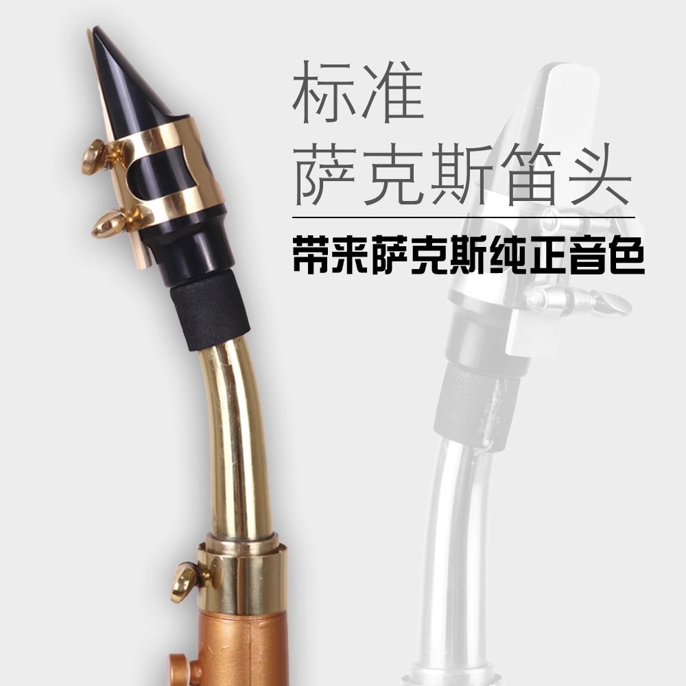 가방 및 리드가 있는 색소폰 포켓 악기 - Musical Instrument Reed 리뷰 및 가격