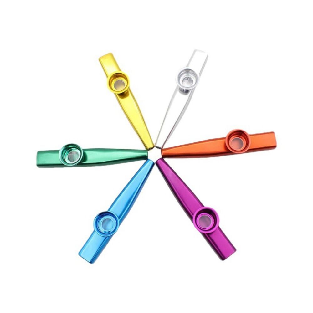 알루미늄 합금 금속 카주 악기 쉽게 배울 수 있는 다이 - Musical Instrument Flute 리뷰 및 가격